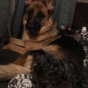 Meet your Posher, Christine